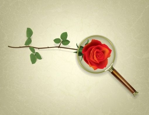 Selaput Dara dan Tes Keperawanan