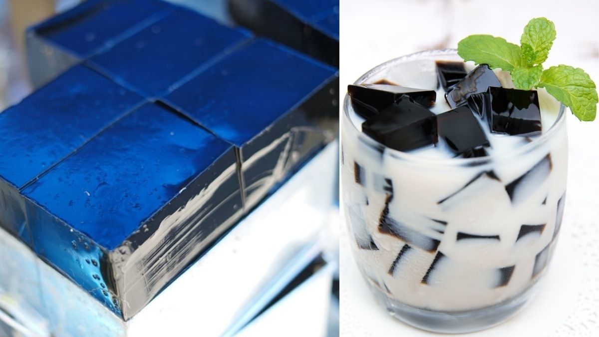 12 Manfaat Cincau untuk Kesehatan Tubuhmu