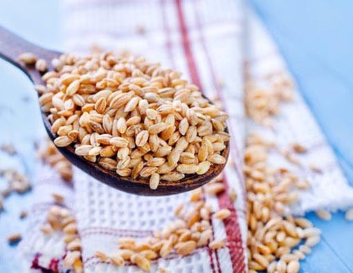 4 Makanan untuk Turunkan Kolesterol Anda