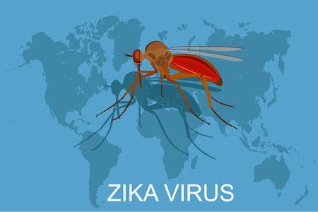 Zika, Virus Lama yang Muncul Kembali