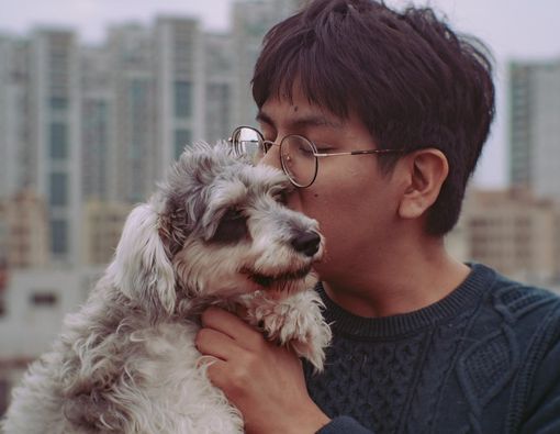 Waspadai, Penyakit-penyakit dari Anjing yang Bisa Menular ke Manusia