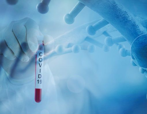 Penasaran, Ini Cara Sistem Imunitas Tubuh Bereaksi Saat Ada COVID-19!