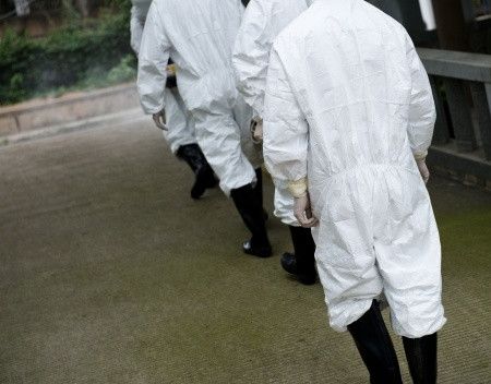 5 Fakta Tentang Virus MERS