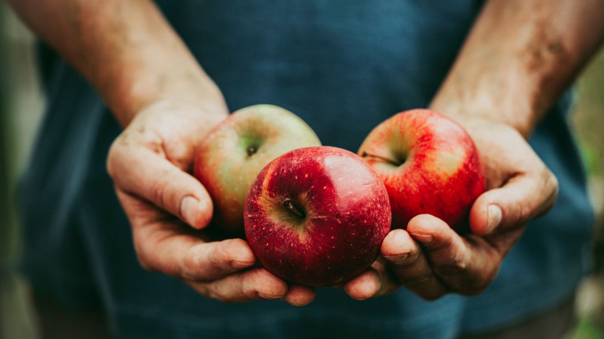 Makan Apel, Lebih Baik dengan Kulitnya atau Dikupas?