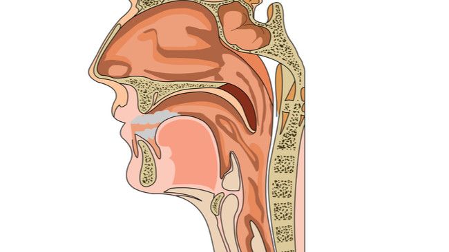 Infeksi Hidung dan Tenggorokan Bisa Picu Kanker Paru?