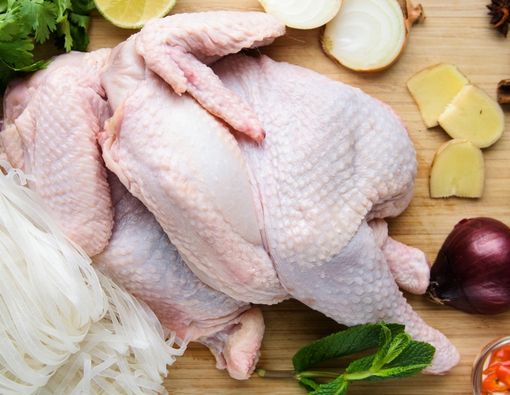 Mengenal Ayam Probiotik dan Manfaatnya untuk Kesehatan