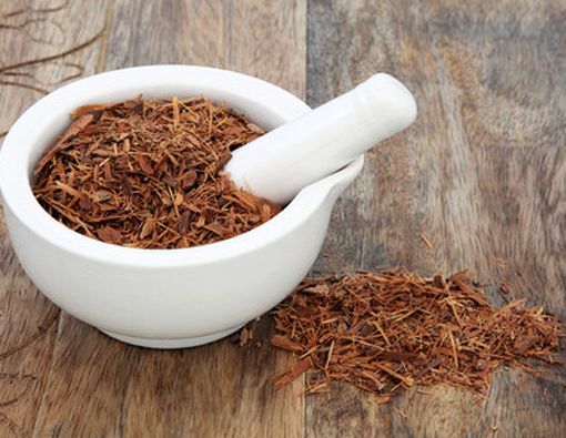 Makanan Afrodisiak Pendongkrak Kepuasan Seksual