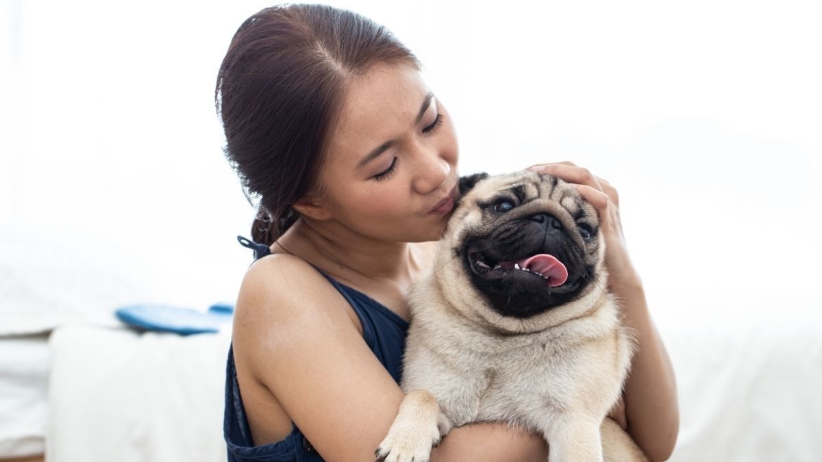 Sederet Manfaat Memelihara Anjing bagi Kesehatan Tubuh
