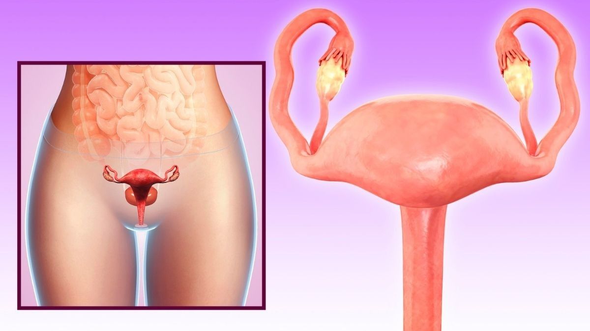 Metode dan Manfaat Prosedur Peremajaan Vagina