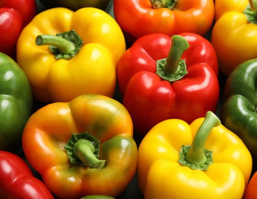 Nutrisi Paprika dan Manfaatnya untuk Ibu Hamil