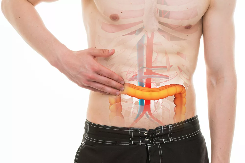 5 Gejala Kanker Usus Besar yang Harus Anda Tahu (Decade 3d Anatomy Online/Shutterstock)