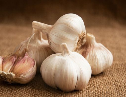 Bawang Putih Bisa Sembuhkan Virus Corona, Apa Benar?