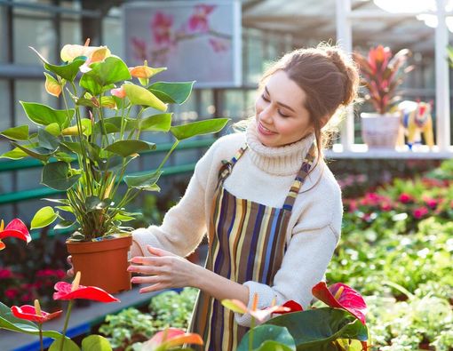 Berkebun, Cara Praktis yang Efektif Atasi Stres