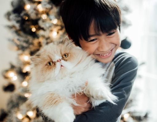 Anak Menderita Asma, Masih Bolehkan Pelihara Hewan?