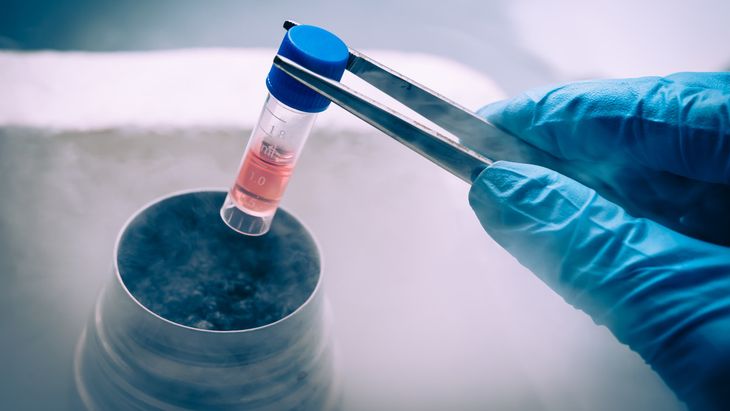Manfaat Terapi Stem Cell untuk Menyembuhkan Penyakit - KlikDokter