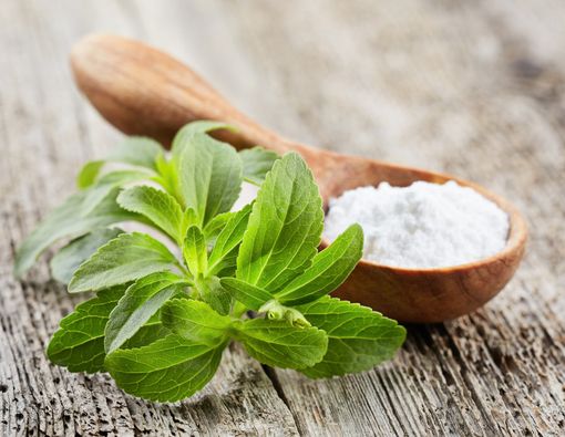 Stevia, Solusi Manis untuk Diabetes Mellitus