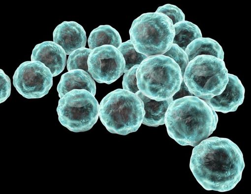 Mengenal Klamidia, Penyakit yang Bisa Sebabkan Mandul pada Wanita