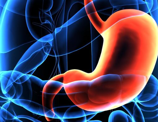 Wajib Tahu Gastroparesis, Gangguan Kesehatan pada Lambung