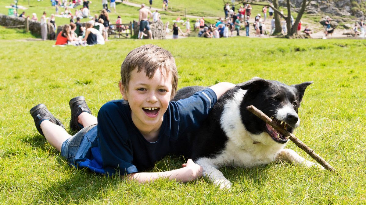 Anak dengan ADHD Bermain dengan Anjing