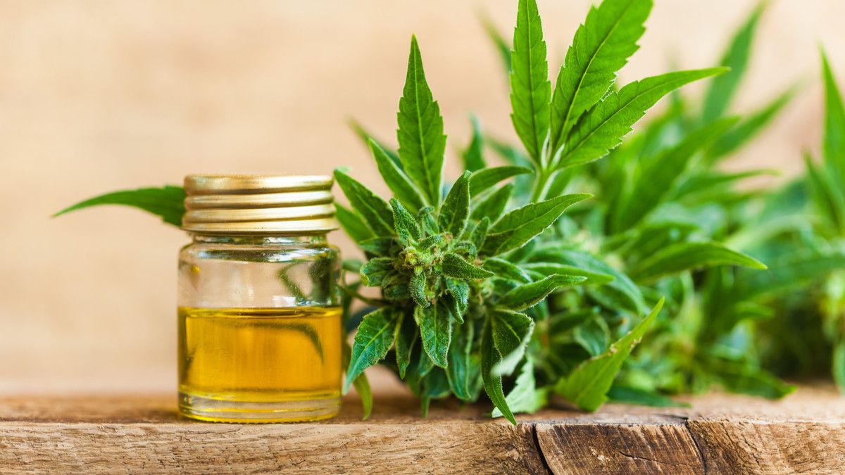 Menelisik CBD Oil dan Manfaatnya untuk Kesehatan