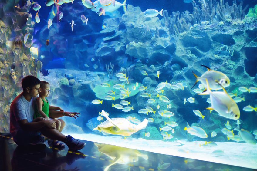 Daripada ke Mal, Ajak si Kecil ke Tempat Wisata Ini