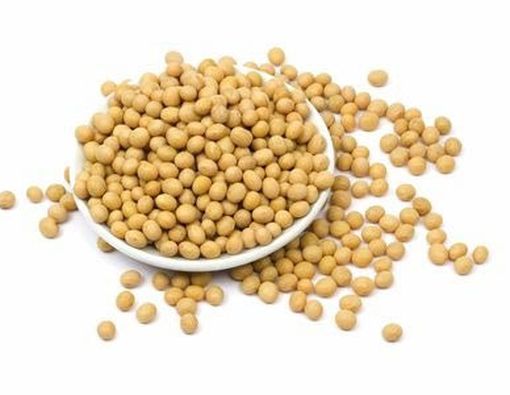 Protein Kedelai Berkhasiat Mencegah Osteoporosis