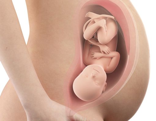 Bagaimana Bayi Bernapas dalam Rahim?