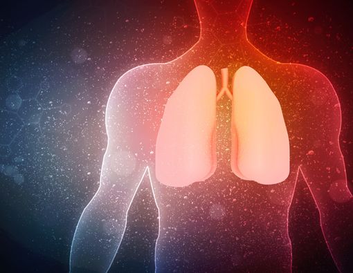 Bersihkan Organ Paru dengan 6 Bahan Alami Ini