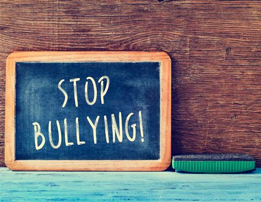 Cegah Anak Jadi Pelaku Bullying