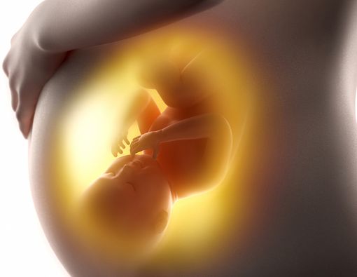 Apa yang Dilakukan Bayi di Dalam Perut Ibu?