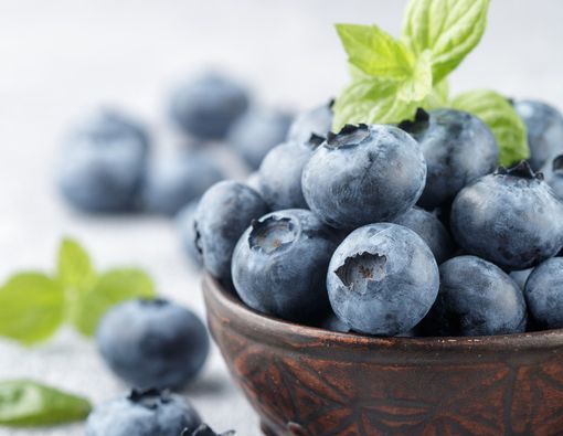 Inilah Sederet Manfaat Blueberry untuk Kesehatan Tubuh Anda