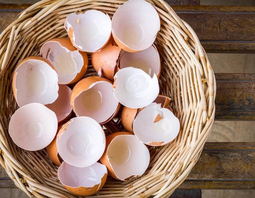 5 Manfaat Kulit Telur dan Cara Mengolahnya, Jangan Dibuang!