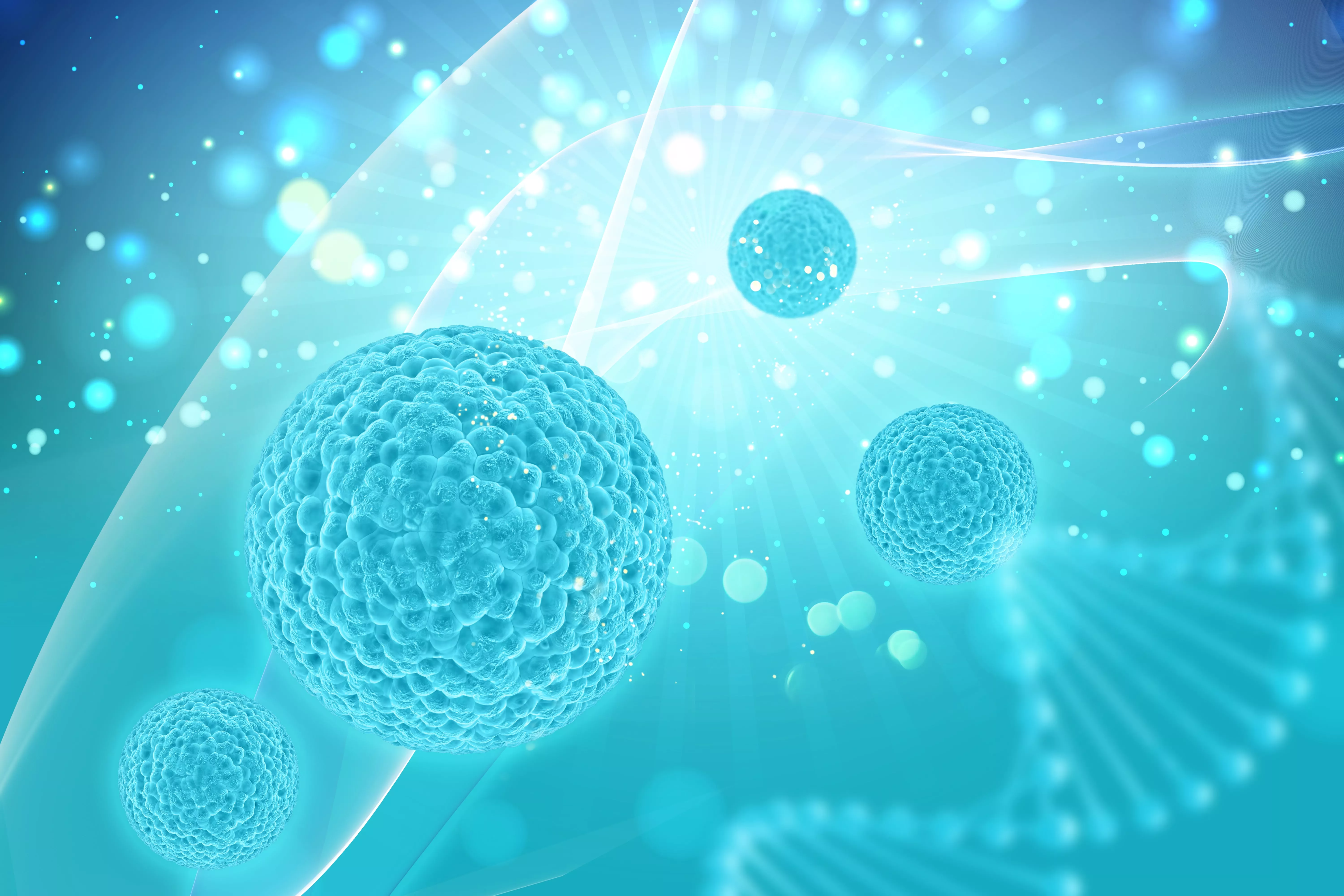 Stem Cell Tumbuhan dan Manusia Itu Berbeda, Ini Penjelasannya!