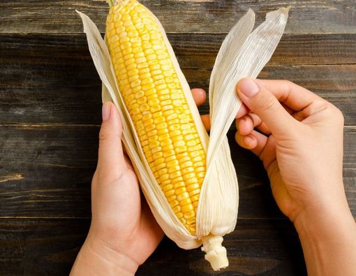 Manfaat Jagung untuk Ibu Hamil