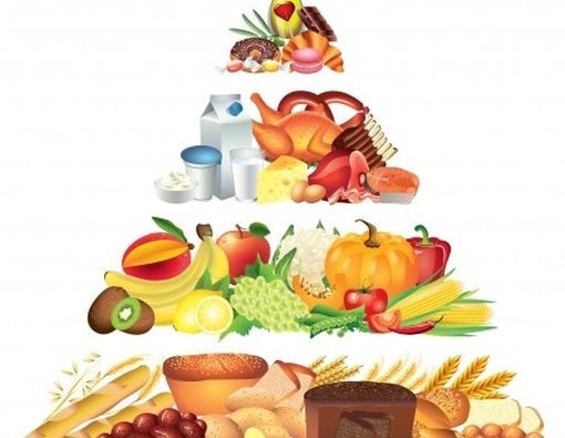 Ini lho, Manfaat Protein Sebenarnya