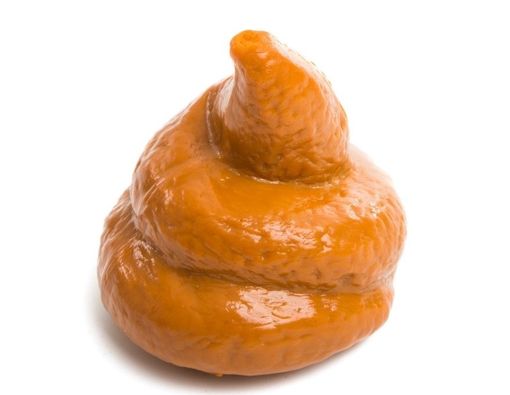 Studi: Transplantasi Feses Bisa Bantu Obati Kanker Kulit