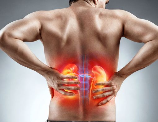 Air Distilasi dan Pengaruhnya pada Kesehatan Ginjal