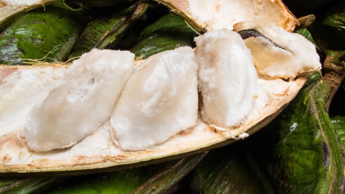 Mengenal Buah Salju Khas Bedugul dari Manfaat, Gizi dan Cara Mengolah