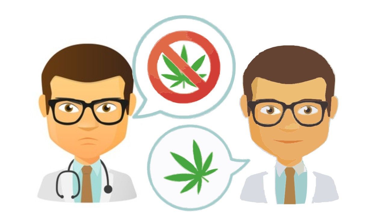 Debat Ganja Sebagai Anti Nyeri