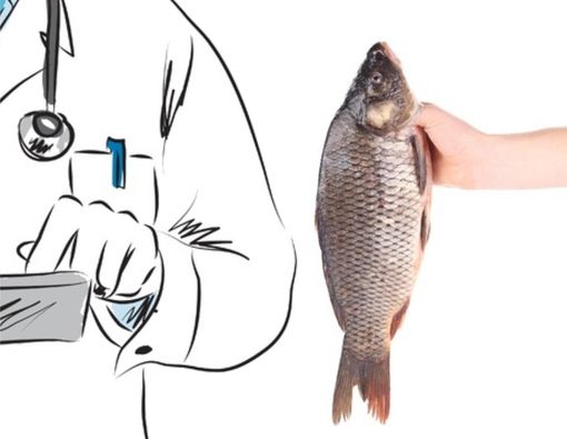 Baca Ini Dulu Sebelum Anda Makan Ikan!