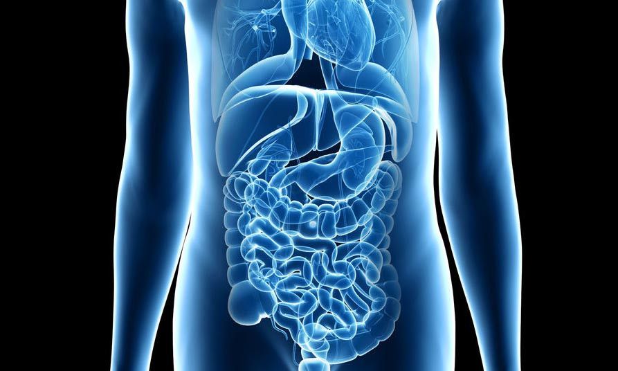 Yang Wajib Diketahui Soal Saluran Cerna Anak