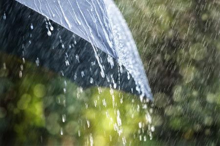 Benarkah Cuaca Berpengaruh pada Terjadinya Kesemutan?