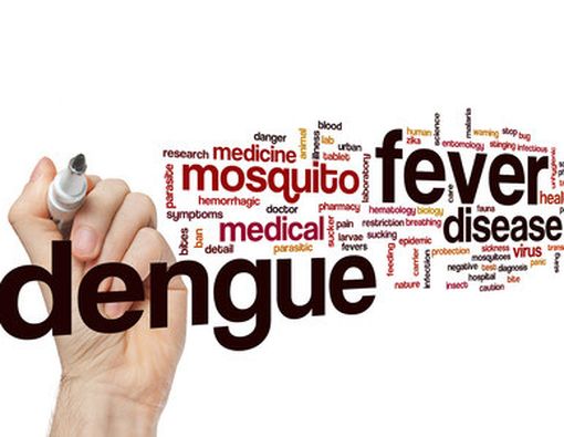 Mitos dan Fakta Soal Demam Berdarah Dengue
