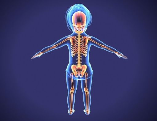 Alasan Jumlah Tulang Bayi Lebih Banyak dari Orang Dewasa