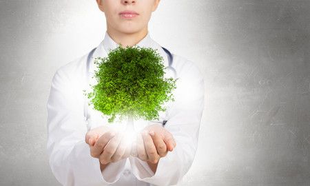 Kinari Webb: Selamatkan Hutan dengan Stetoskop