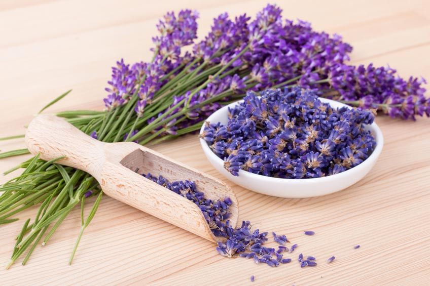 4 Aroma Ini Bisa Membuat Tubuh Sehat
