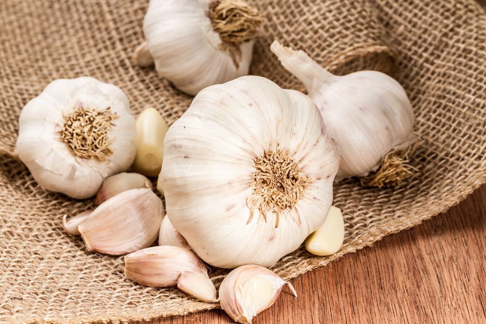 Bawang Putih Bisa Atasi Bisul, Mitos atau Fakta?