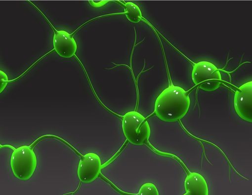 Kanker Kelenjar Getah Bening atau Limfoma Menyerang Siapa Saja!