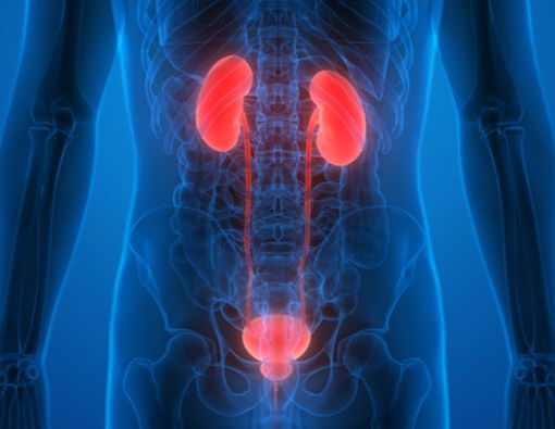 Mana yang Lebih Bahaya, Batu Ginjal atau Batu Kandung Kemih?