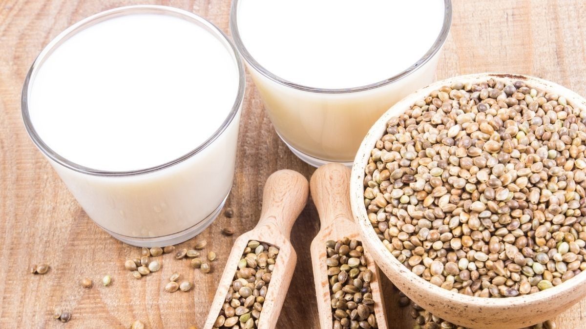 Manfaat Mengonsumsi Susu Biji Hemp (Hemp Milk)